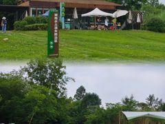 -桤木河湿地公园