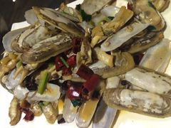 前海沿儿-鲁前海沿儿