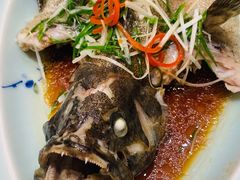 葱花鲈鱼-梦都海鲜酒家(万达广场江桥店)