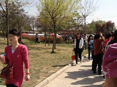 景点-西安青龙寺遗址景区