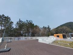 -九龙湖公园