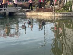 -雅达·阳羡溪山小镇中心