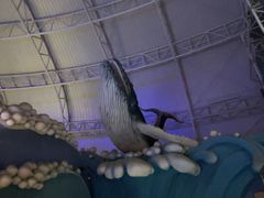 -烟台海昌鲸鲨海洋公园