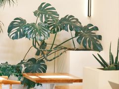 -小意思咖啡店(草桥店)