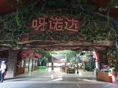 -呀诺达热带雨林