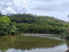 -滴水岩森林公园