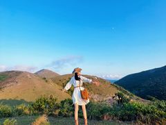 -大姆山草场