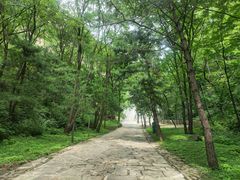 -藏山旅游风景区