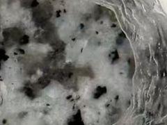 -全季酒店(上海火车站天目西路店)