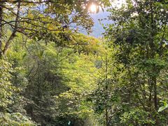 -天龙顶山地公园