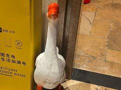 -春梅里卤鹅馆·47年老字号(中山路店)