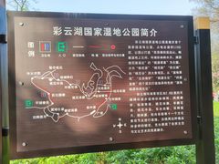 -重庆彩云湖湿地公园