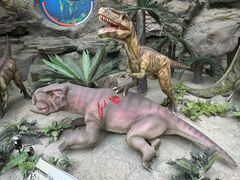 -国家自然博物馆