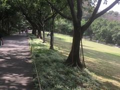 -广州雕塑公园