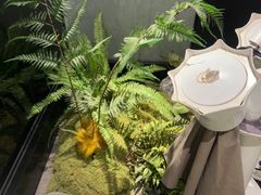 -华夏良子·足道SPA艾灸(王府井店)