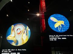 -上海当代艺术博物馆