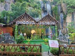 -西双版纳原始森林公园