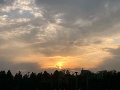 -河南财经政法大学(郑东校区)