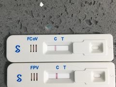 -安安宠医·臻爱宠物医院(簇锦北路分院)