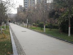 -木塔寺遗址生态公园