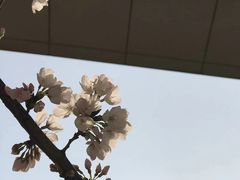 -南京外国语学校(仙林分校西区)