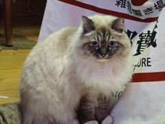 -剧狐剧本杀·月球探案馆(人民广场1号店)