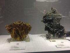 -湖南省地质博物馆