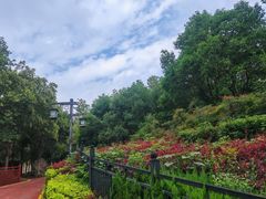 -西安汉城湖景区