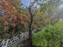 -终南山南五台景区