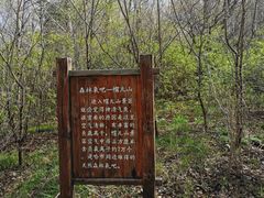 -帽儿山风景区