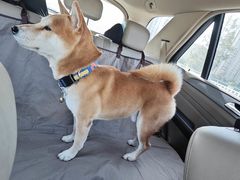 -庆江南江南菜(琴湖溪里花园城店)