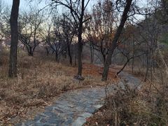 -北京西山国家森林公园