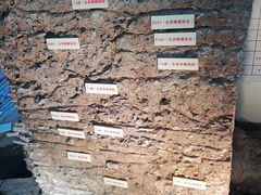 -南越王博物院(王宫展区)