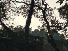 -享哆味·汉堡炸鸡(九龙坡黄桷坪店)