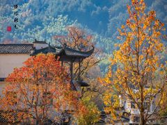-塔川景区