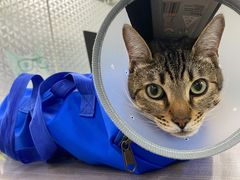 -荔康动物医院(康王北路店)