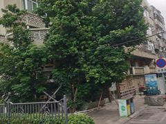 -野草莓自由市场