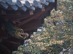 -长春观
