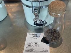 -SAANCI山池咖啡(海上世界文化艺术中心店)