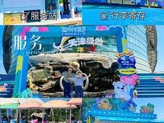 -海合安天津极地海洋公园