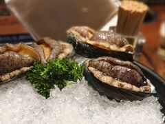 鲜活六头鲍-东海怡品海鲜豆捞(星街坊店)