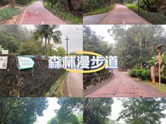 -鹅滋道(甘坑古镇店)