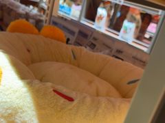 -MARSMART PETS火星宠物超市(1733店)