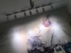 -杨丹国际美学肌研所