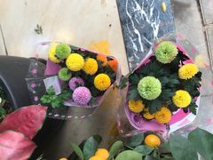 -溪岸路花鸟市场