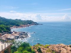 -广东惠东海龟国家级自然保护区