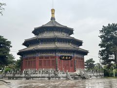 -中国唐苑
