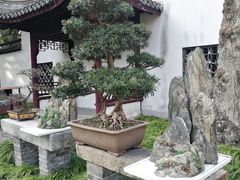 -上海醉白池公园