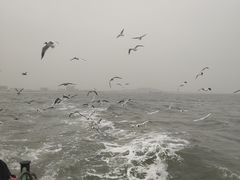 -老虎石海上公园