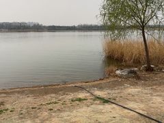 -绿堤公园